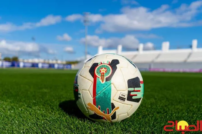 Temporary Suspension of Professional League Amid African Competitions