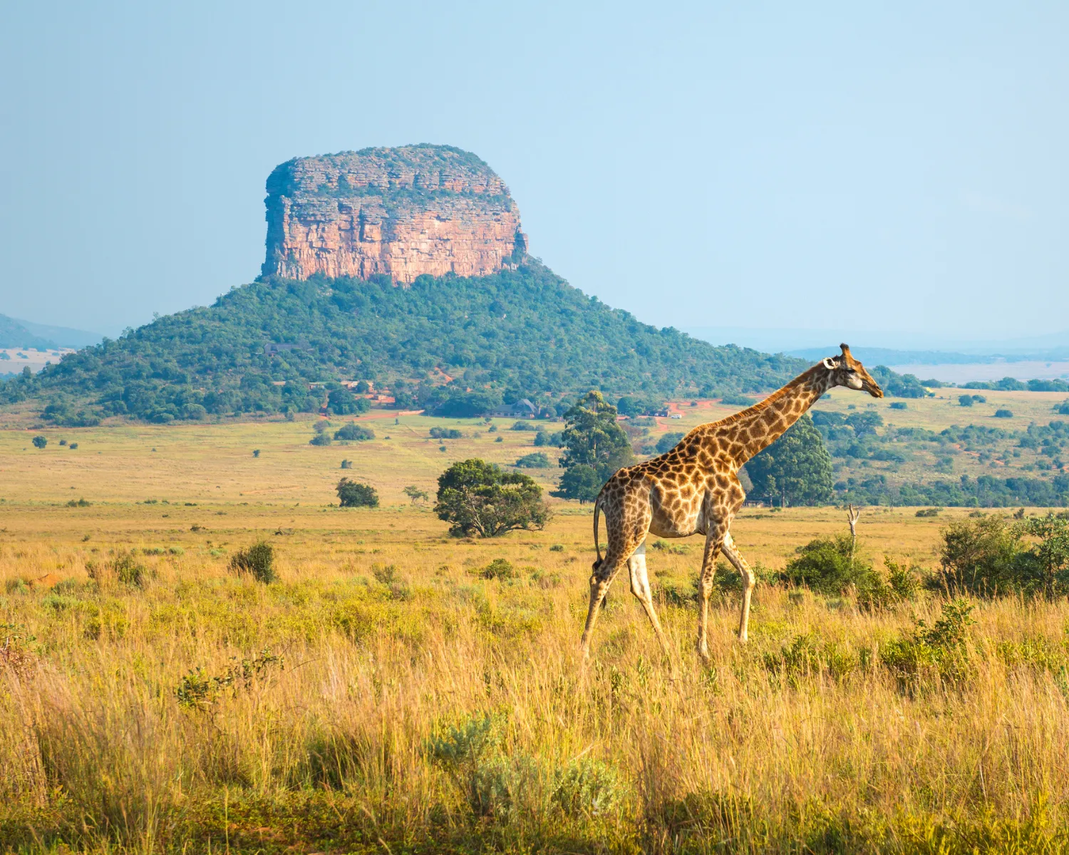 Discover Safe Travel Destinations in Africa: A New Perspective