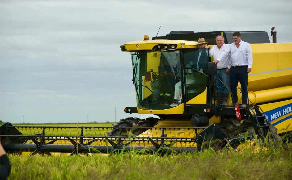 Uruguay Opens New Markets for Rice Exports, Highlighting Economic Growth and Productivity