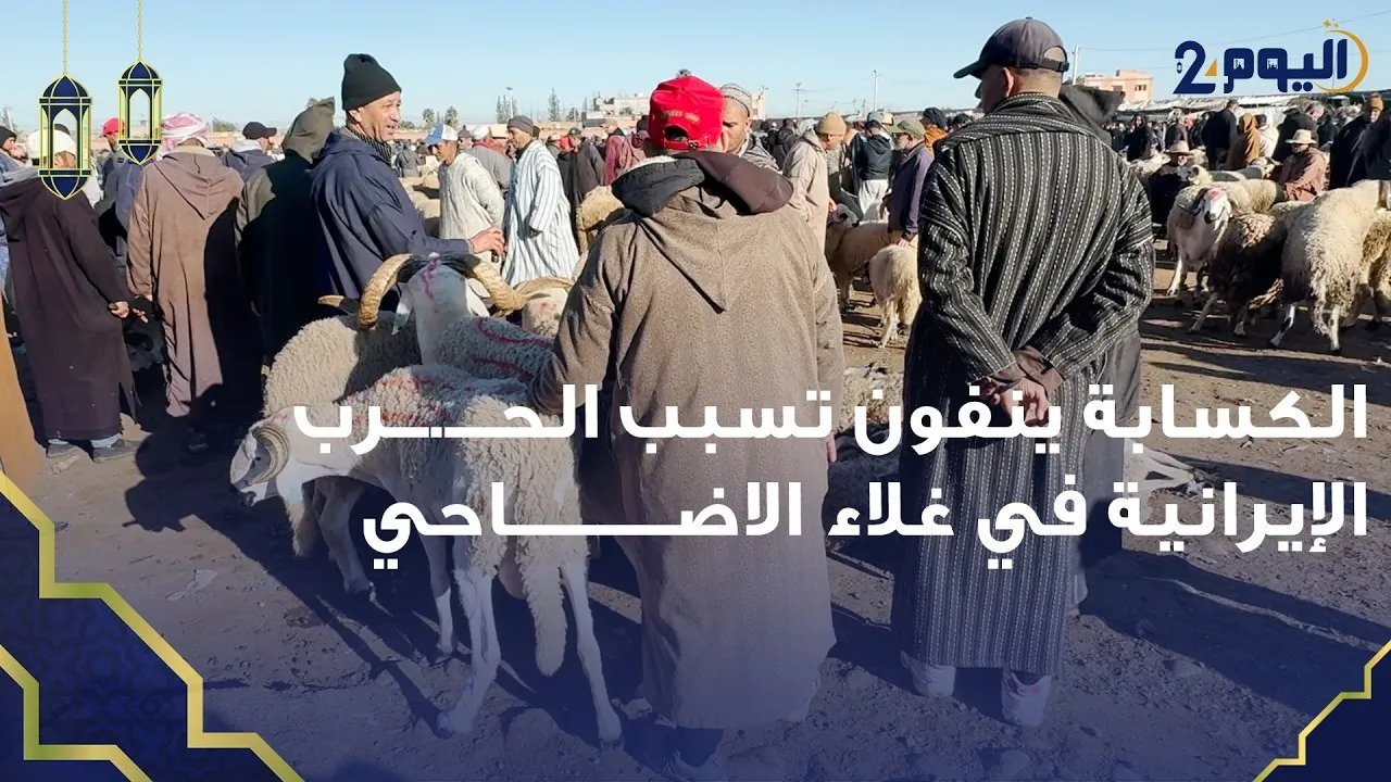 Marrakech Livestock Traders Dispute Claims About Price Hikes Linked to Iranian War