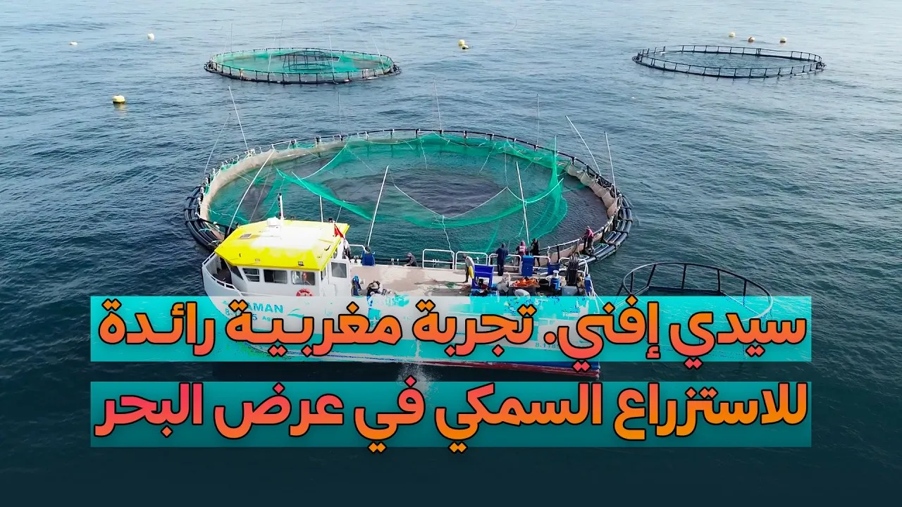 Morocco Launches First Innovative Offshore Fish Farm in Sidi Ifni