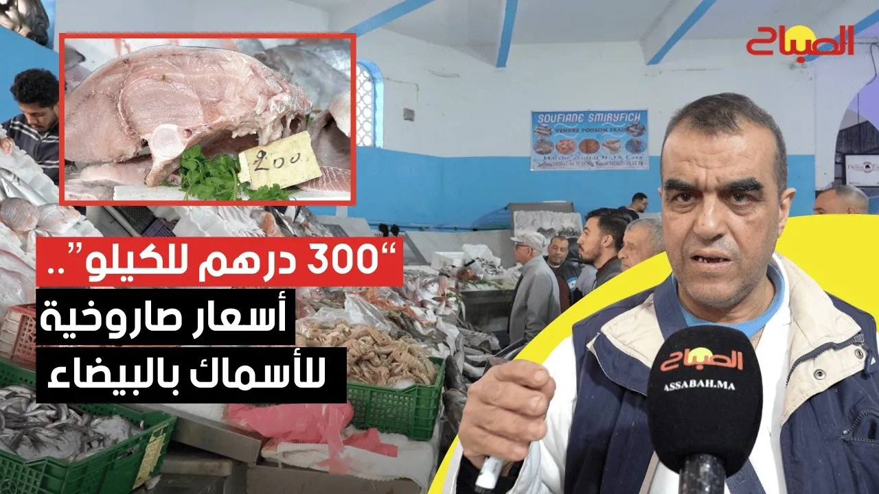 Fish Prices Surge to 300 Dirhams per Kilo at Casablanca's Central Market