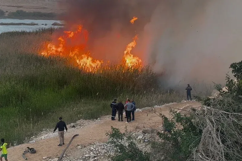 Local Authorities Successfully Control Fire Near Oued Sakia Al Hamra
