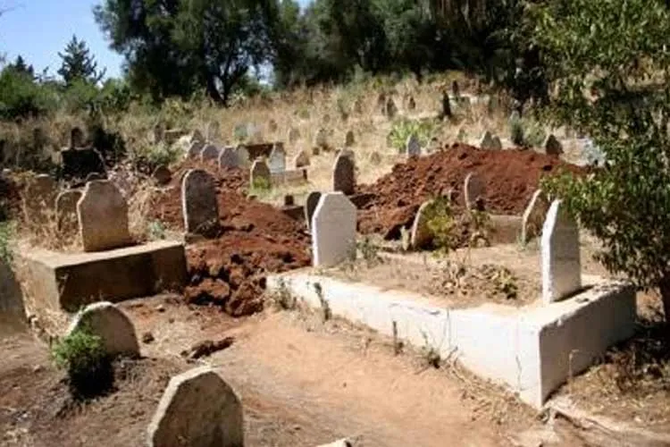 Shocking Case of Sexual Assault in Fes: A Disturbing Encounter Unfolds