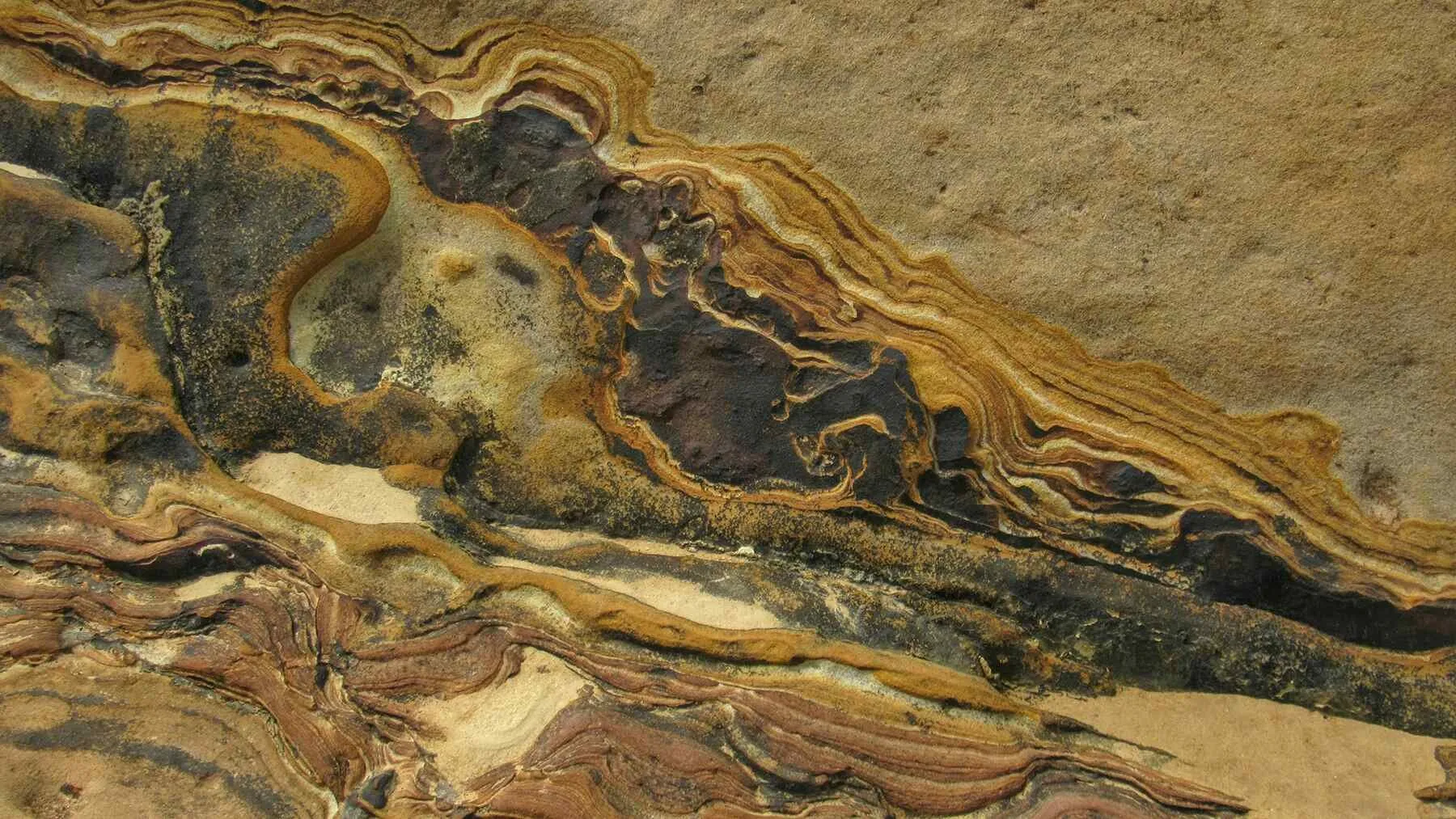 Ancient Ancestor of Humanity Discovered in the Moroccan Desert