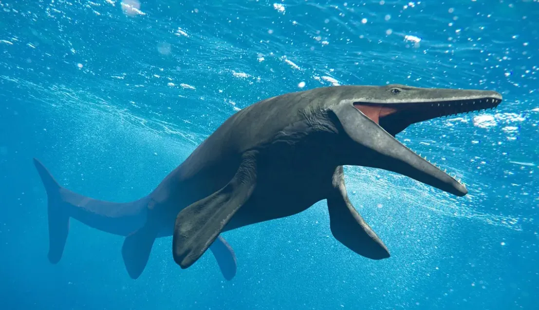 Discovery of Giant Mosasaur Fossil in Morocco Sheds Light on Pre-Dinosaur Extinction Marine Diversity