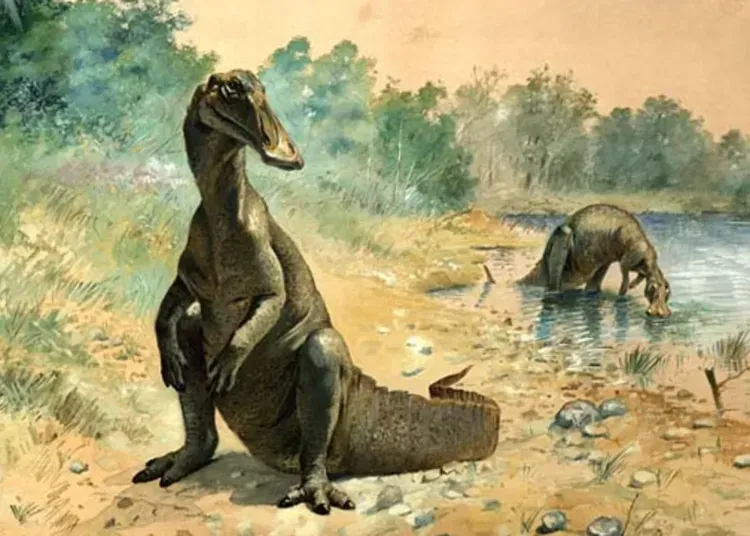 Groundbreaking Discovery: Moroccan Researchers Unveil 100-Million-Year-Old Dinosaur Species