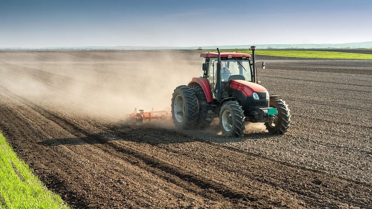 Exceptional Agricultural Season in Casablanca-Settat Region Driven by Record Rainfall