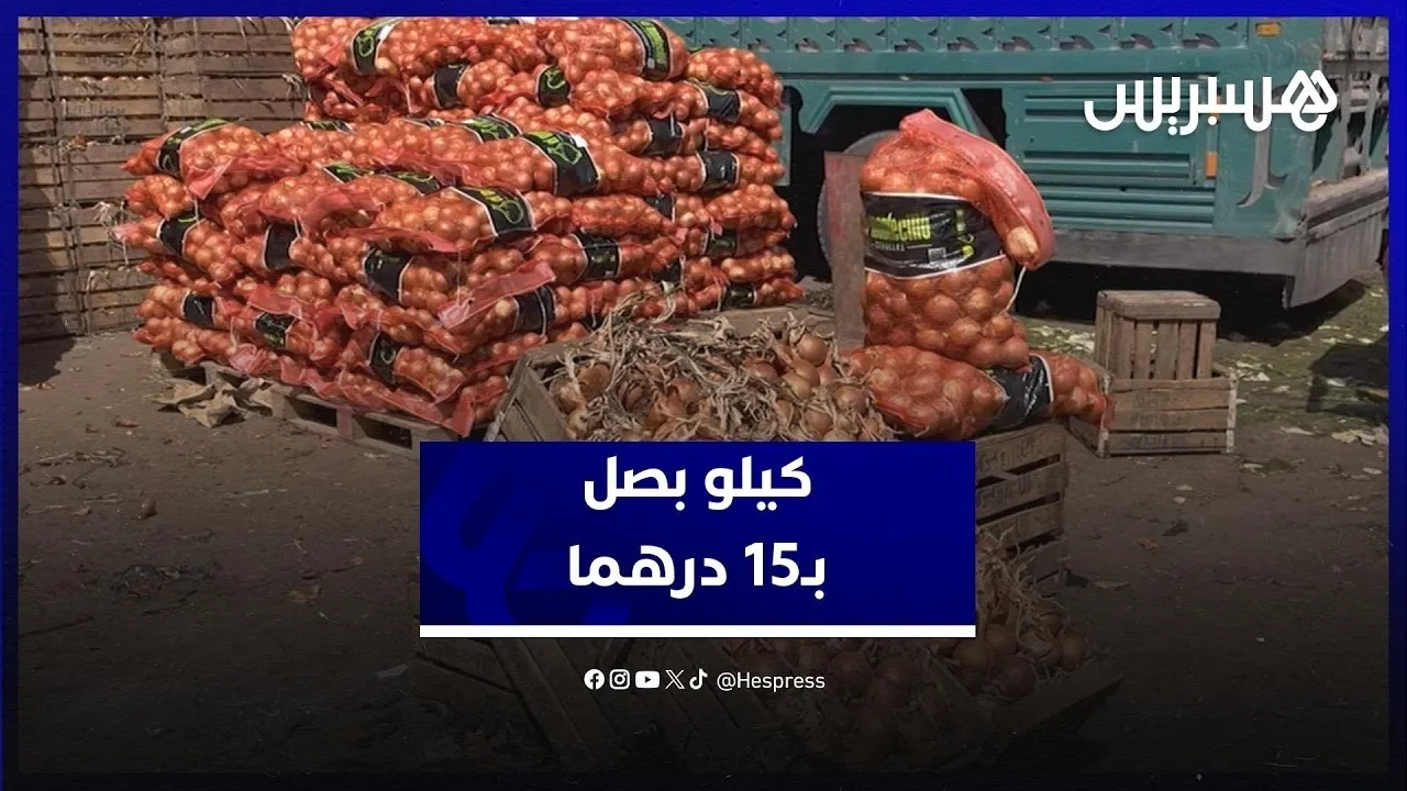 Soaring Onion Prices in Morocco: Vendors Explain the Surge