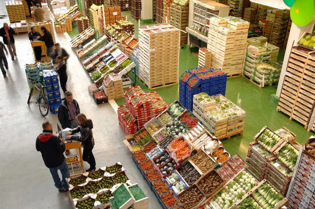 Significant Growth in Spain's Fruit and Vegetable Sector Projected for 2025