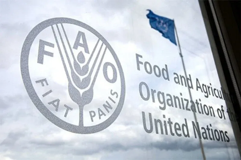 Morocco Elected Vice-Chair of International Phytosanitary Measures Commission