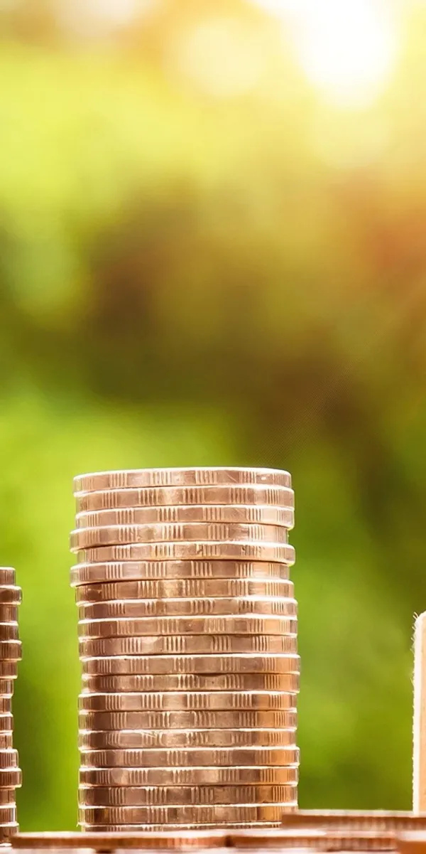 Maroc Telecom Stock: A Resilient Investment Opportunity for DACH Investors