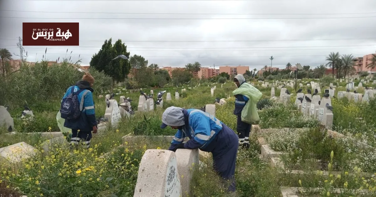 ARMA Launches Cleanup Campaign for Cemeteries Ahead of Laylat al-Qadr