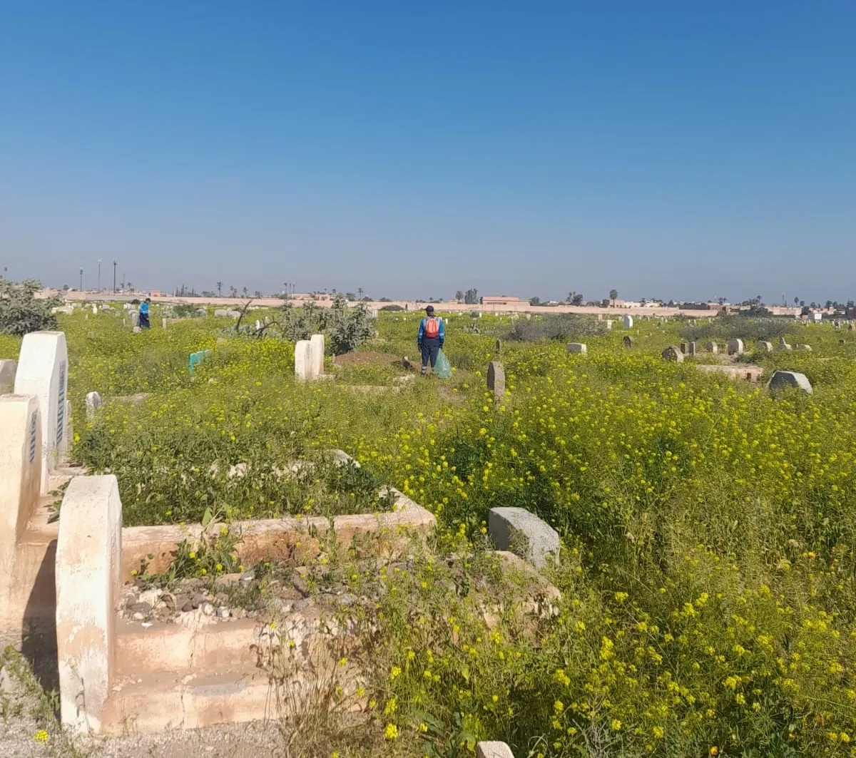 Latest News Highlights from Morocco: Insights and Developments