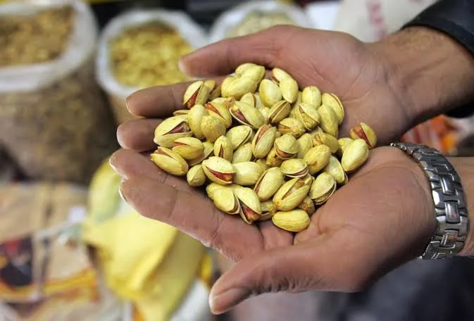 US Dominates Morocco's Pistachio Imports with 92% Share, While Iran Holds Just 2.2%
