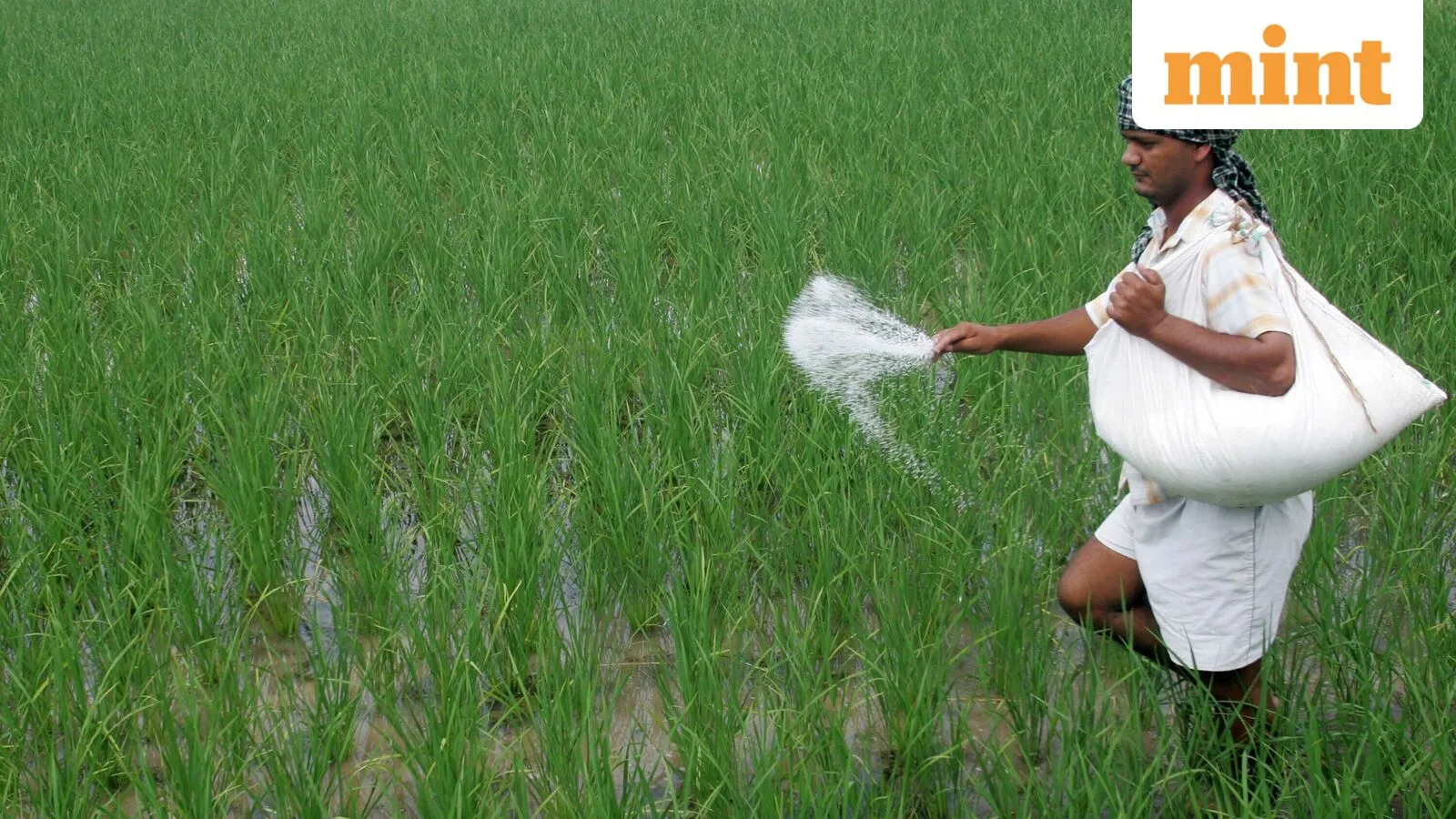 India Intensifies Fertilizer Imports from Non-West Asian Nations Amid Regional Turmoil