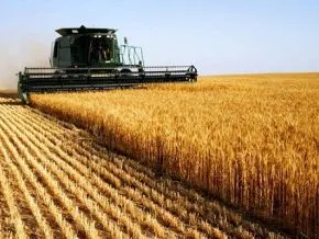 Morocco's Agricultural Sector Set for 15% Growth Amid Improved Climate Conditions