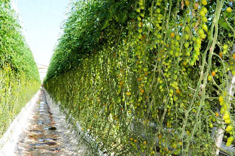 Environmental Concerns Spark Action Against Illegal Construction in Morocco
