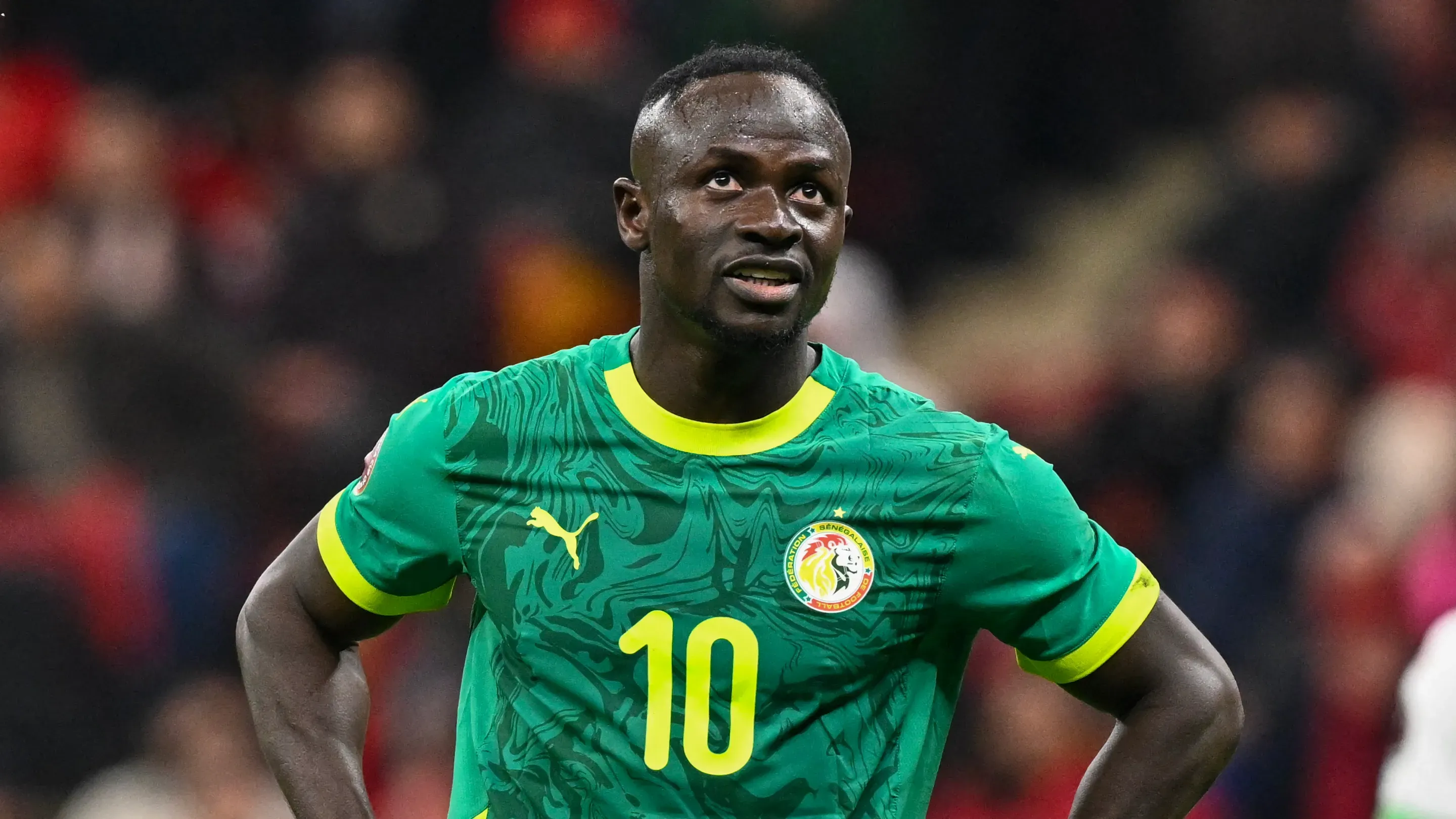 Senegal Football Federation Appeals Africa Cup Title Decision to CAS