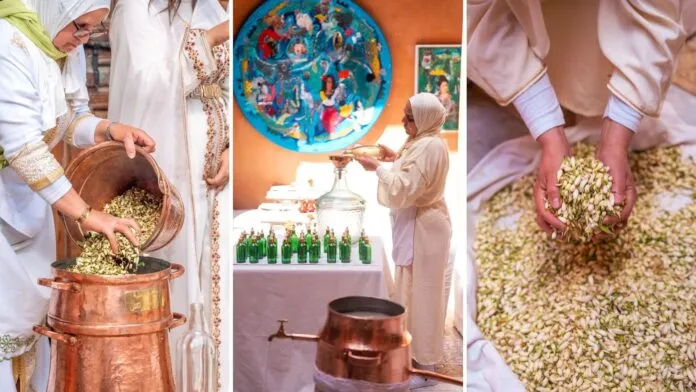 La Zahria: Experience Springtime in Marrakech