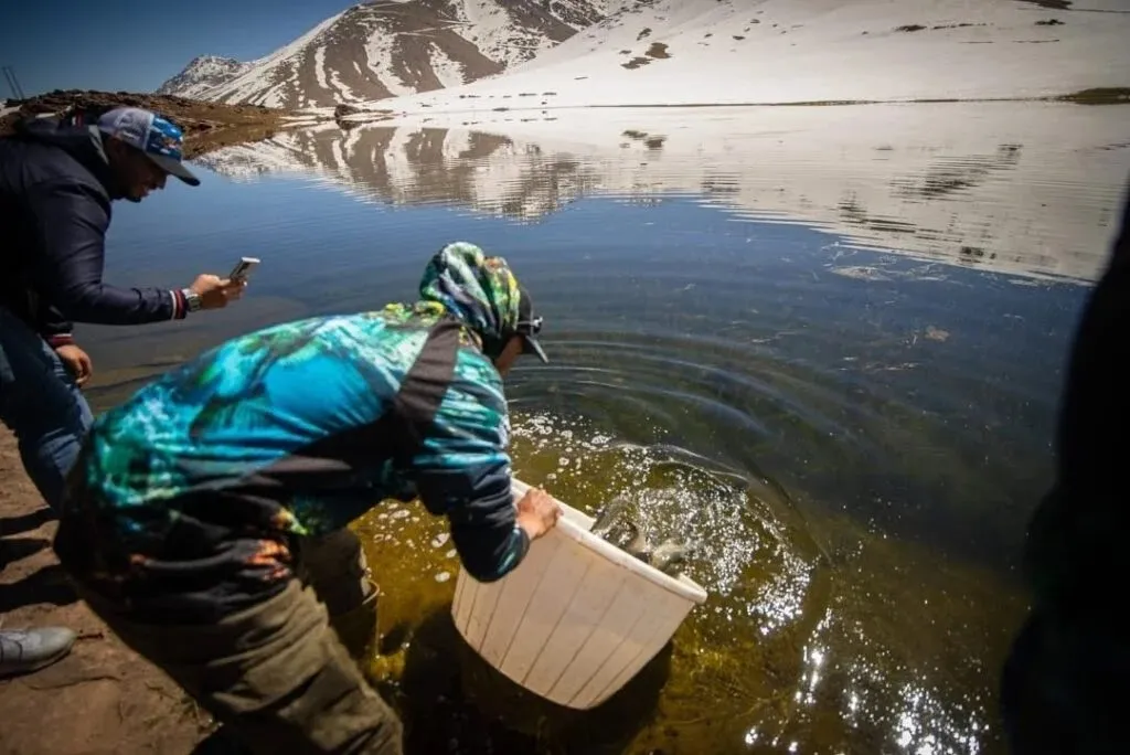 Enhancing Fish Stocks and Eco-Tourism at Oukaimeden Lake