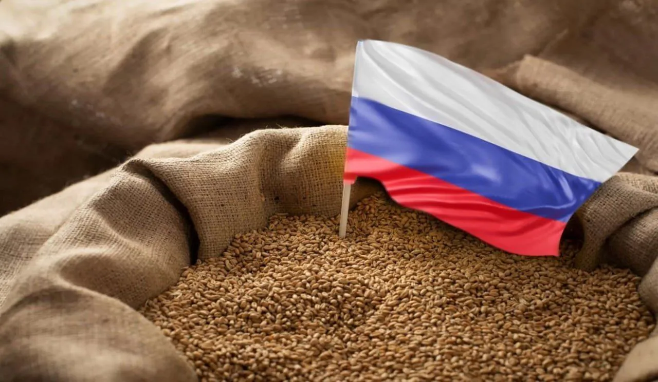 Morocco's Shift Towards Russian Grain Imports Amid Global Supply Challenges