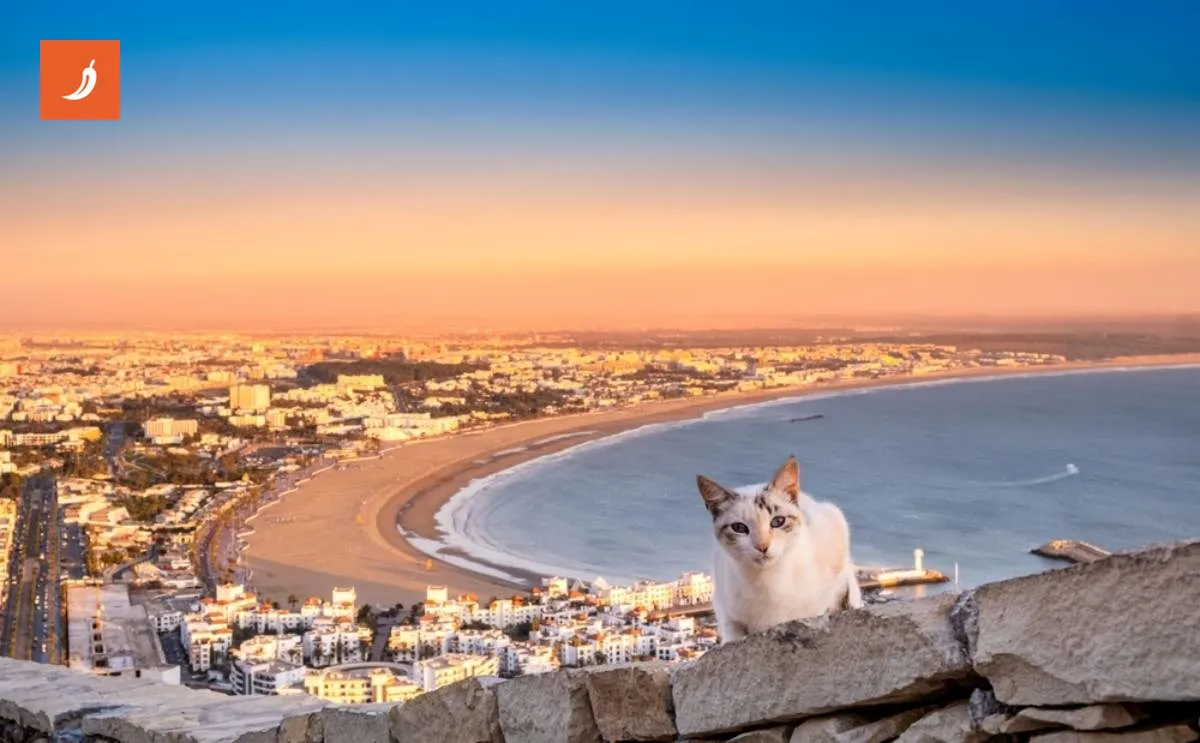 Discover Affordable Summer Getaways: Agadir, Morocco for Just €260 per Week
