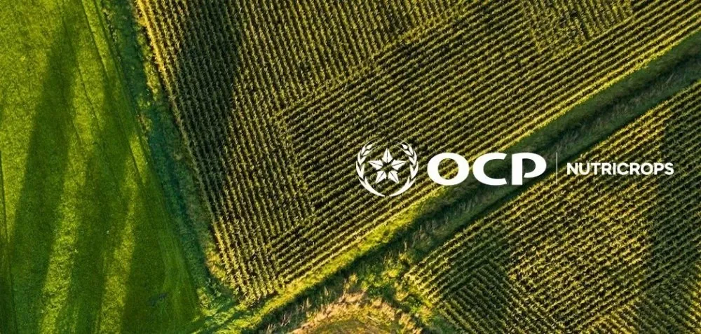 Morocco's OCP Group Expands International Footprint with New Subsidiaries in France and India