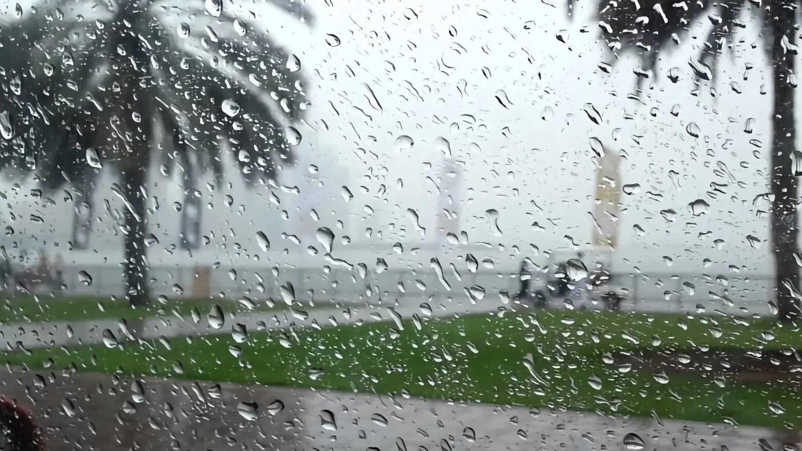 Weather Alert: Thunderstorms Expected on Monday Across Several Provinces