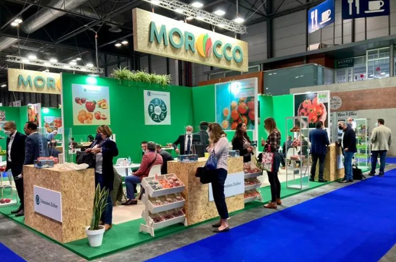 Morocco Foodex Launches B2B Mission to Boost Agricultural Exports