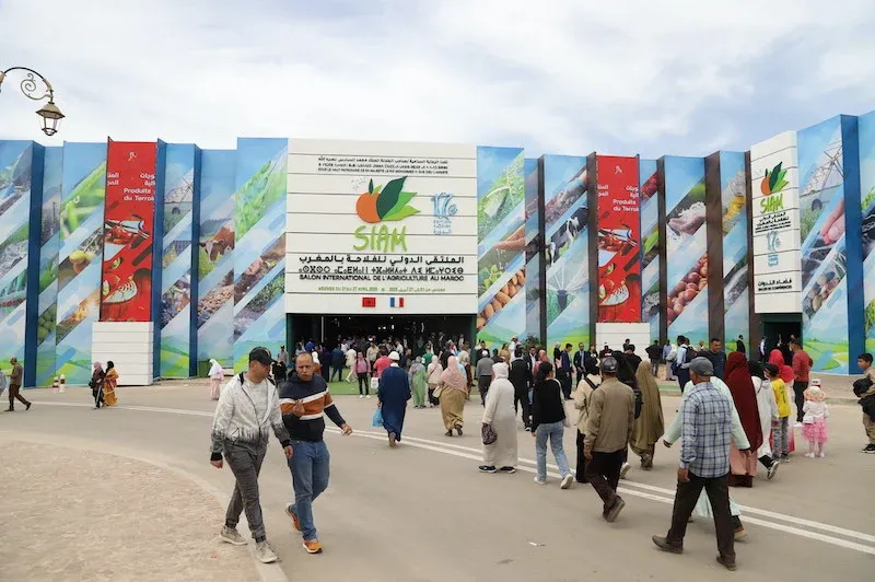 Morocco Extends International Agricultural Fair to Nine Days