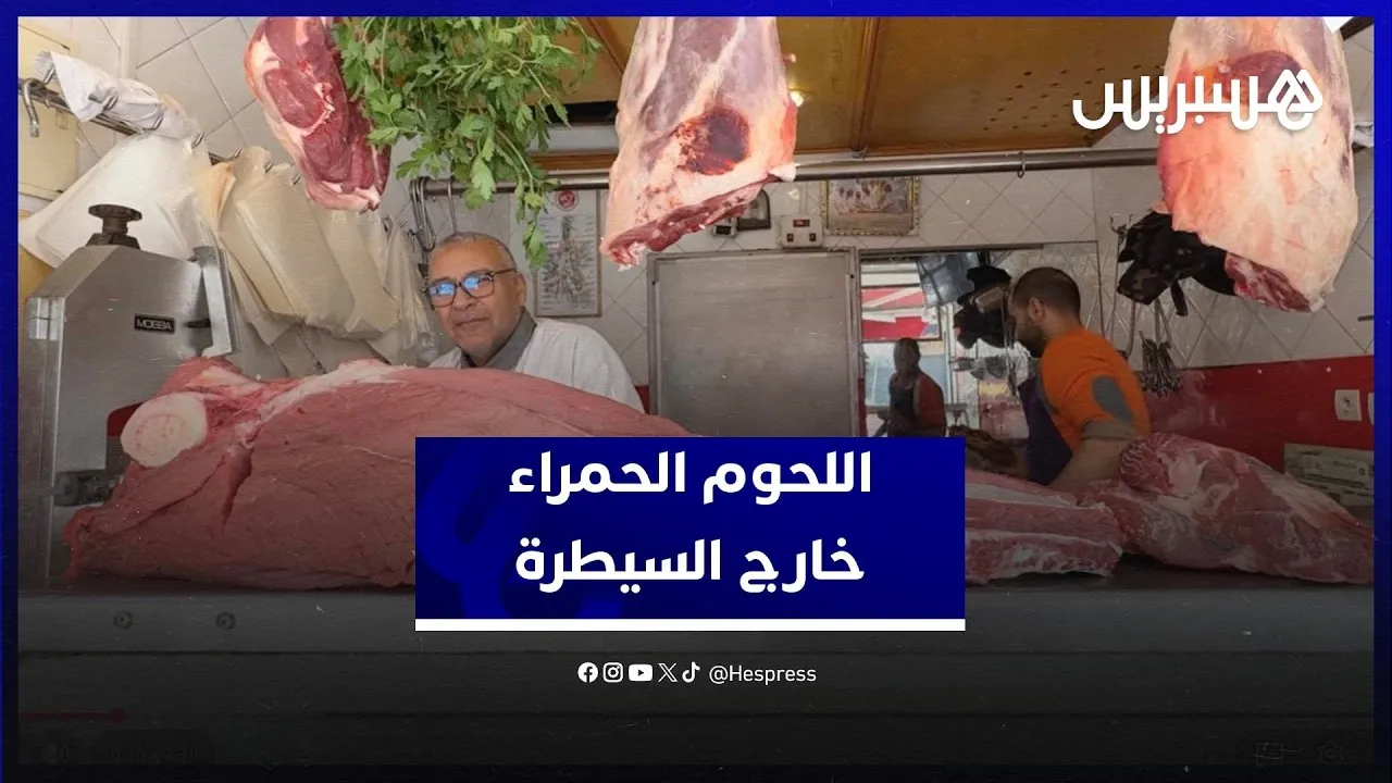 Rising Red Meat Prices Ignite Outrage in Morocco