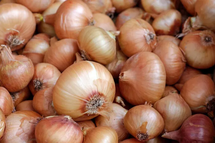 Agadir Markets: How Spanish Onions Dominate Prices Amid Local Production
