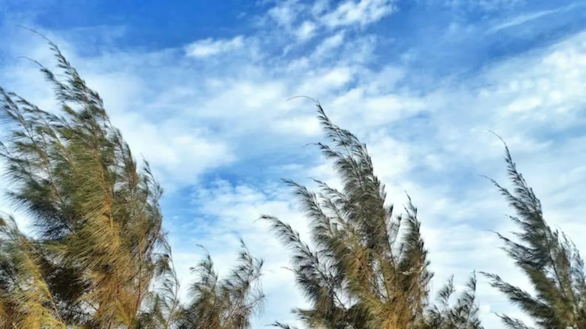 Weather Alert: Strong Winds Expected in Marrakech, Agadir, Essaouira, and Surrounding Areas