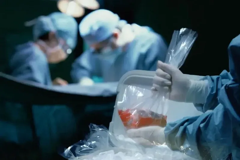 Morocco Accelerates Digitalization of Organ Donation to Streamline Processes and Save Lives