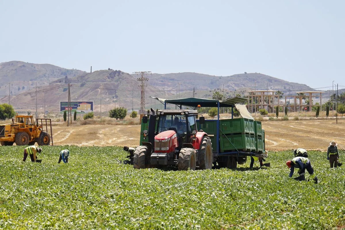 The Role of Foreign Workers in Murcia's Agricultural Sector