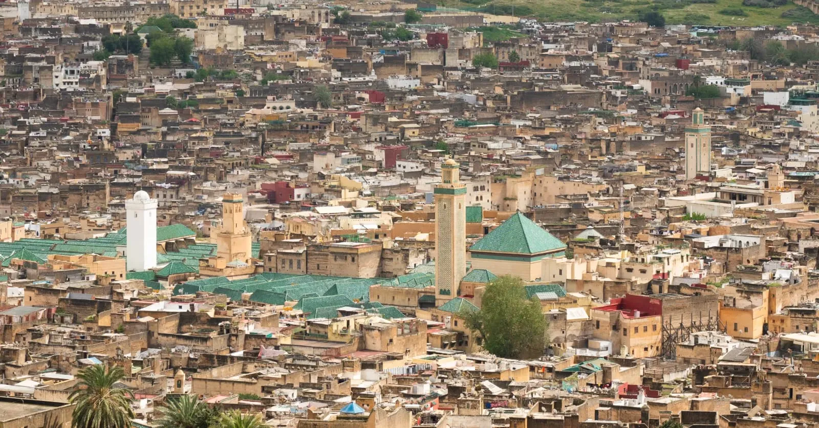 Fes: The Capital of Civil Society in 2026
