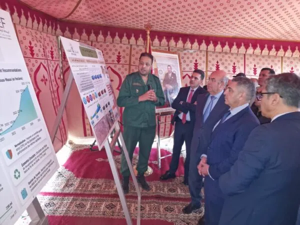 Innovative Waterbox Technology Revolutionizes Afforestation in Morocco's Arid Regions