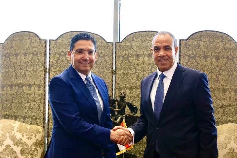 Morocco and Egypt: Transforming Historical Ties into Collaborative Projects