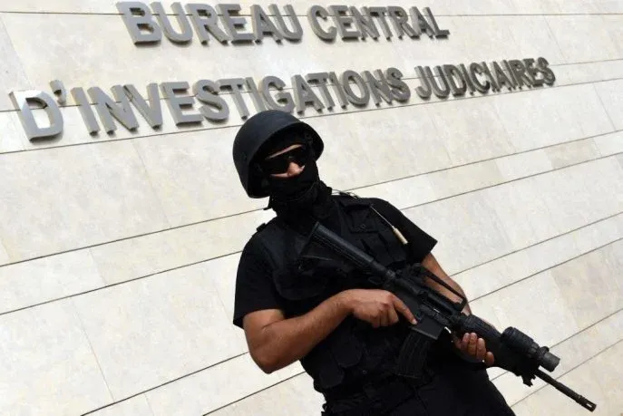 Dismantling of a Rural Terrorist Cell: Theft, Burglary, and Money Laundering