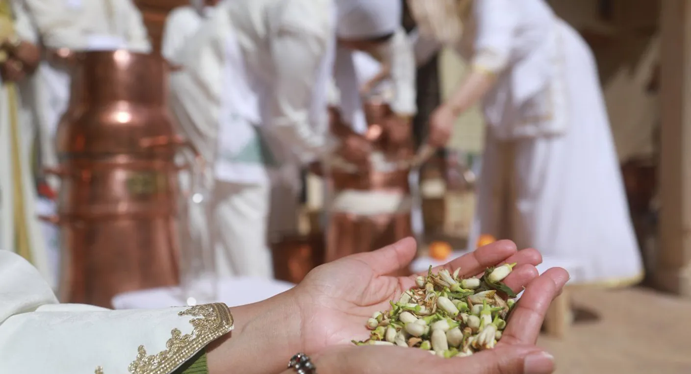 Celebrating Heritage: The 14th Edition of Zahria in Marrakech