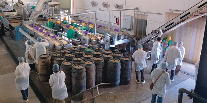 Fresh and Agro-Food Products: Exporters Set Their Sights on Eastern Europe