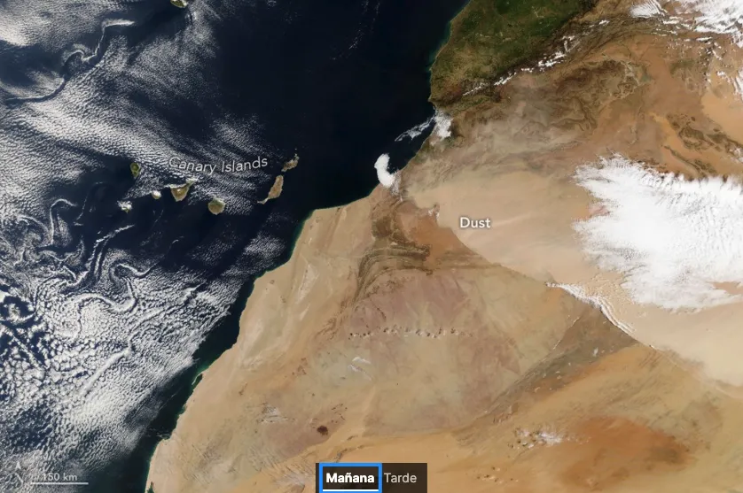 NASA Captures Stunning Saharan Dust Storm Heading Towards the Canary Islands