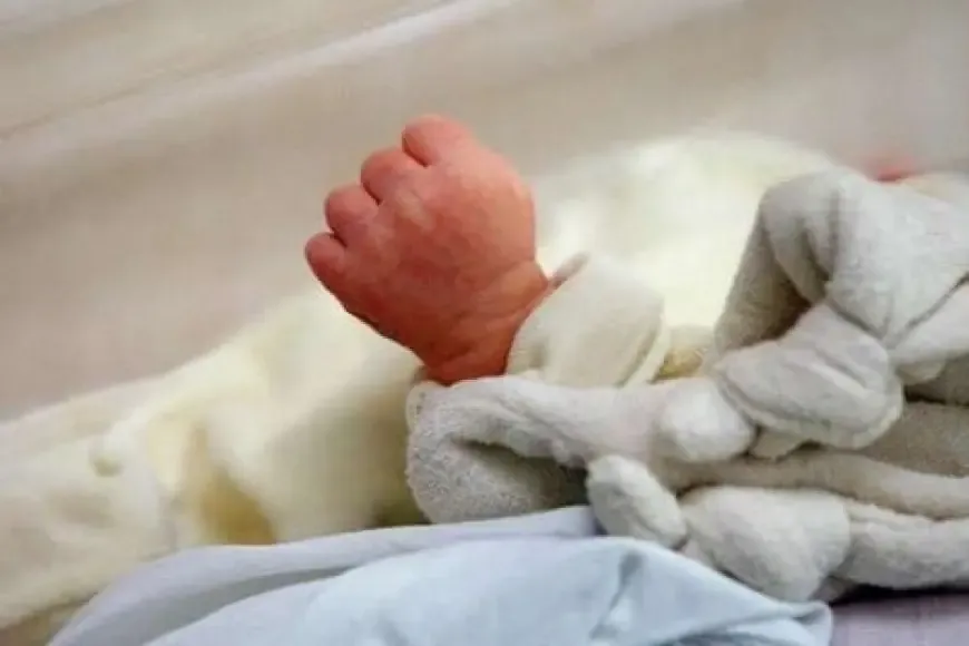 Authorities on High Alert Following Discovery of Abandoned Infant's Body in Fez