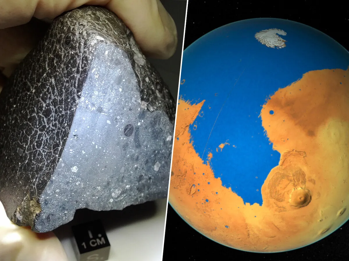 Unveiling the Secrets of 'Black Beauty': A Martian Meteorite's Journey Through Time
