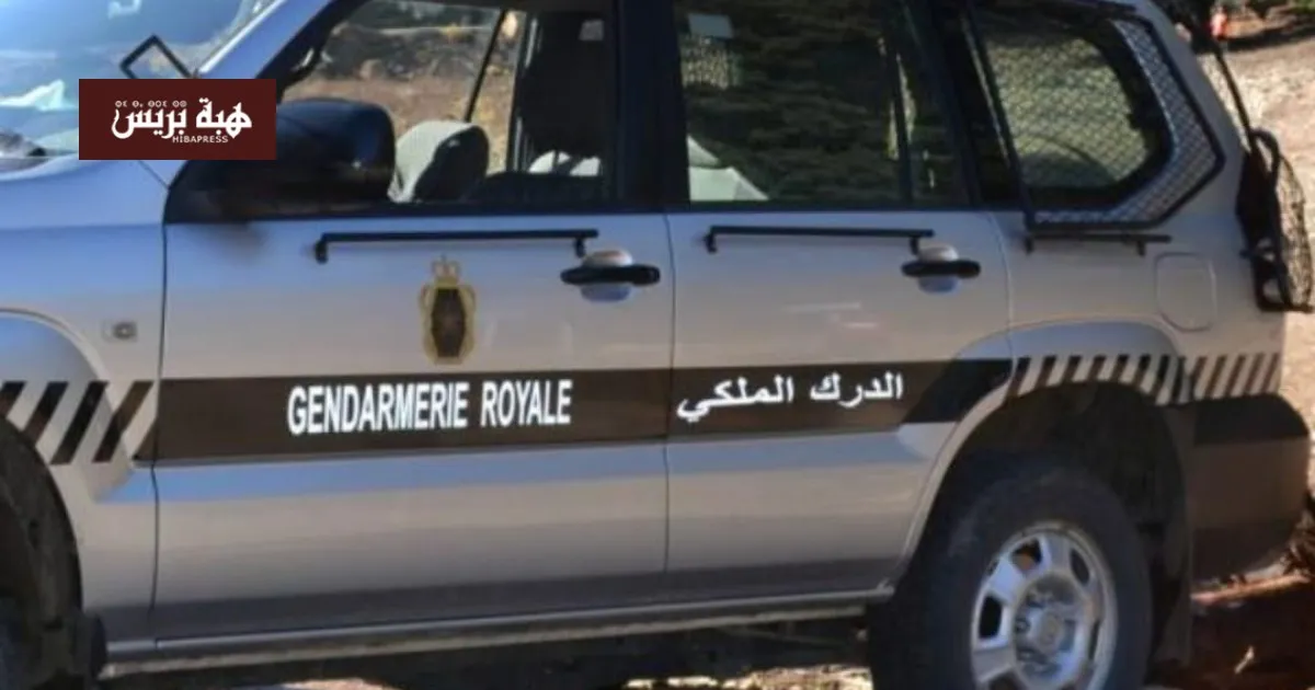 Criminal Gang Arrested in Marrakech for Fake Advertisements and Theft