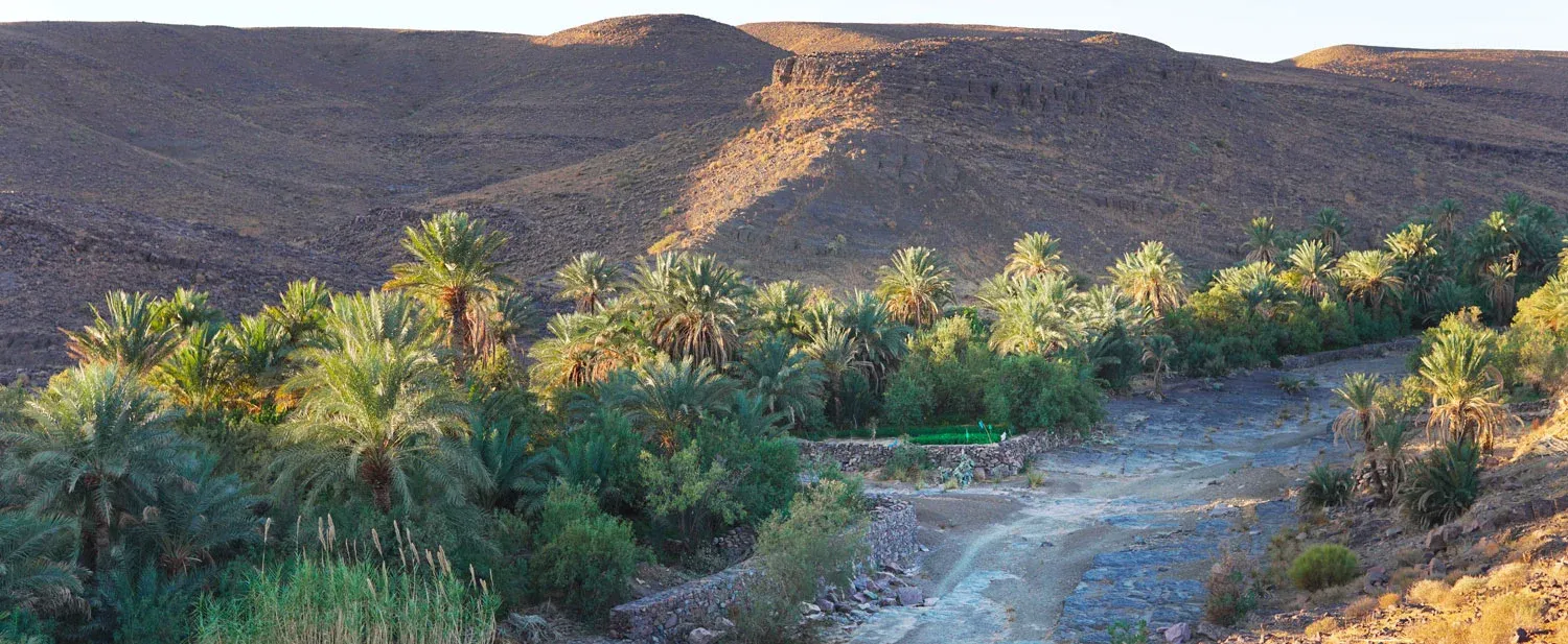 Transforming Rural Morocco: The Impact of Sustainable Water Access on Farmers