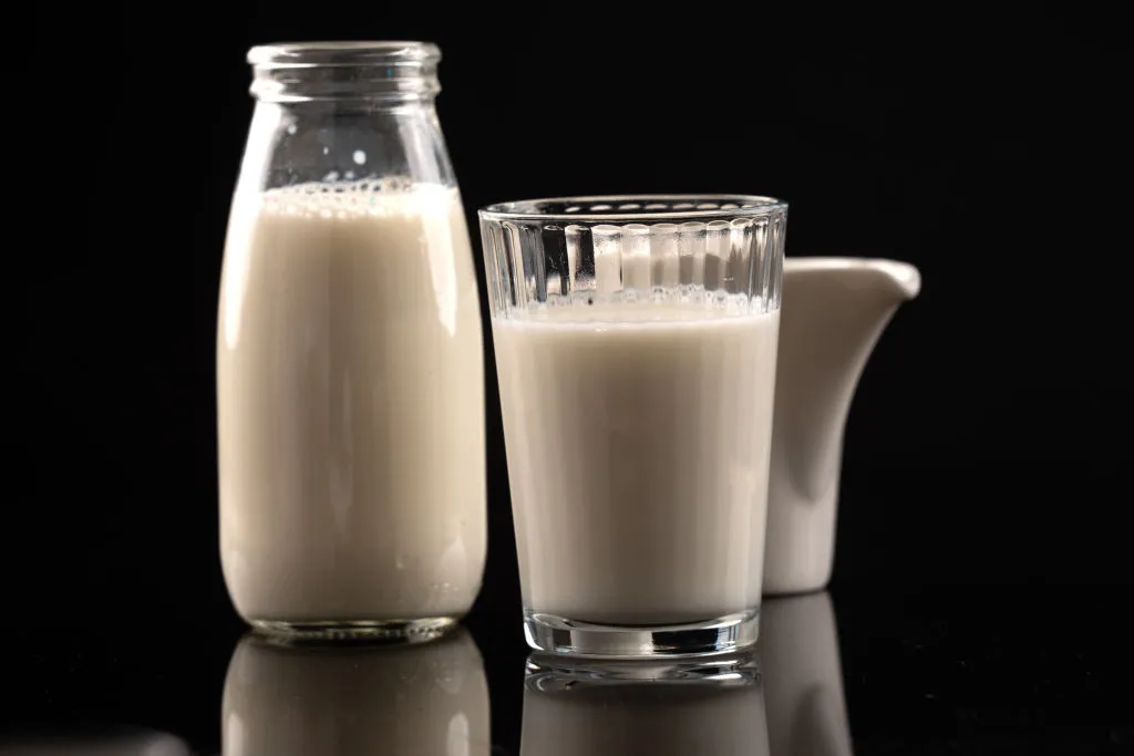 Extralait Launches $10.8 Million Dairy Plant in Morocco to Enhance Market Reach