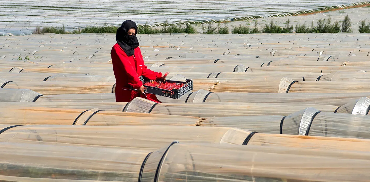 Enhancing Gender Integration in Morocco's Climate Governance: A Strategic Approach