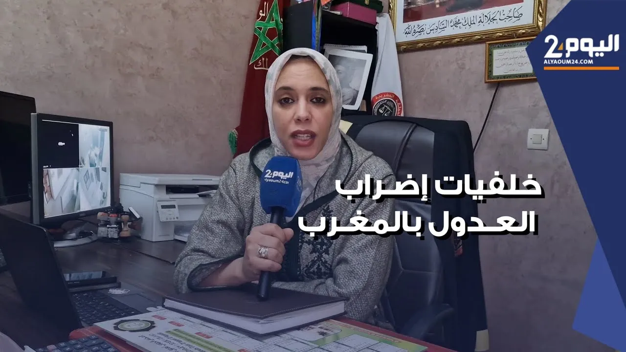 Understanding the Notaries' Strike in Morocco: Insights from Bouhamidi